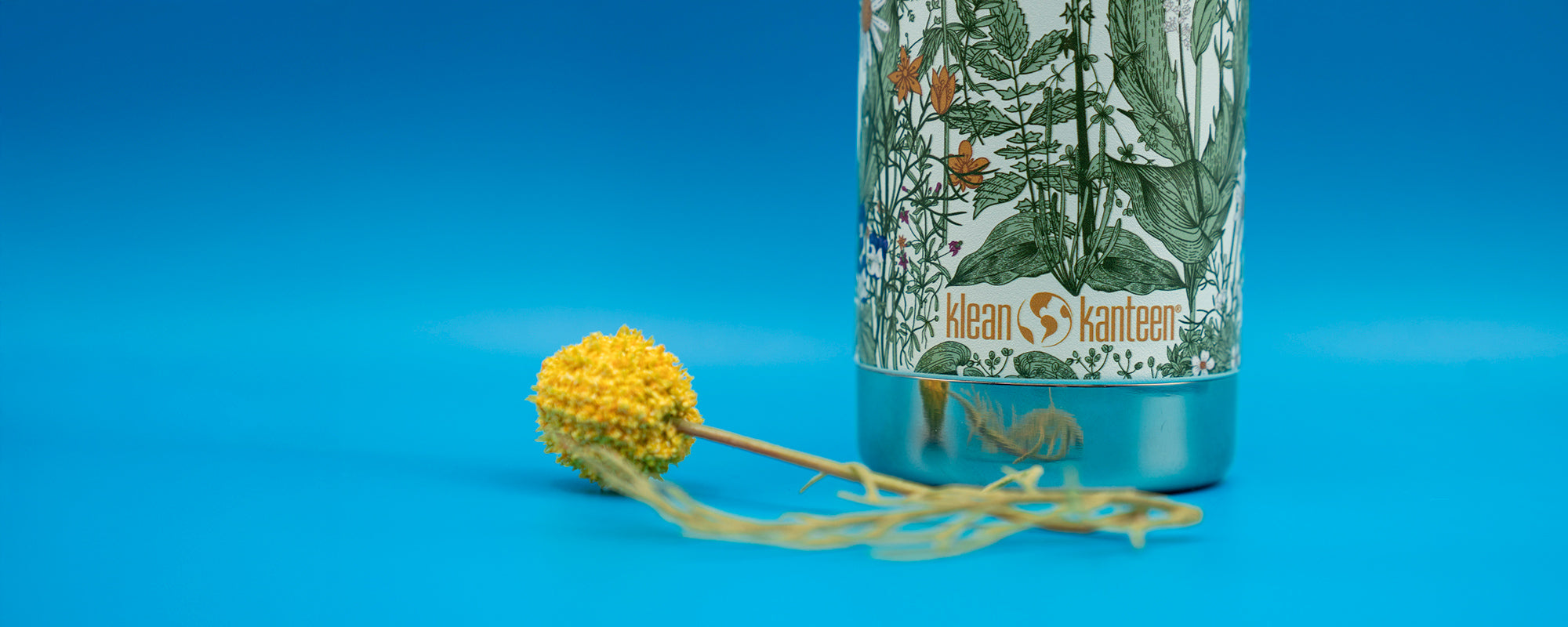 Klean Kanteen Graphics Collection and Seasonals